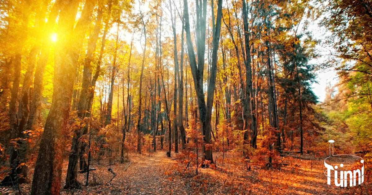 Der Herbst ist für Hotpot Geniesser